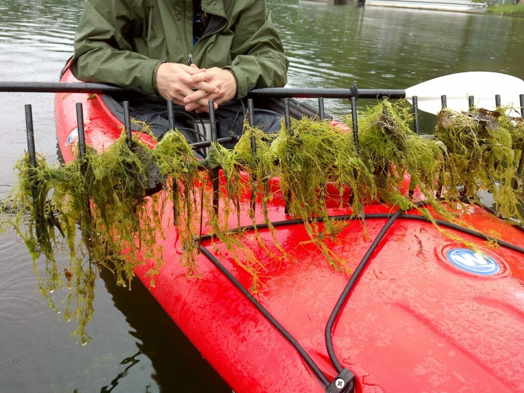 BABKAN ZHE GAJË-DAYÊK MANAGEMENT