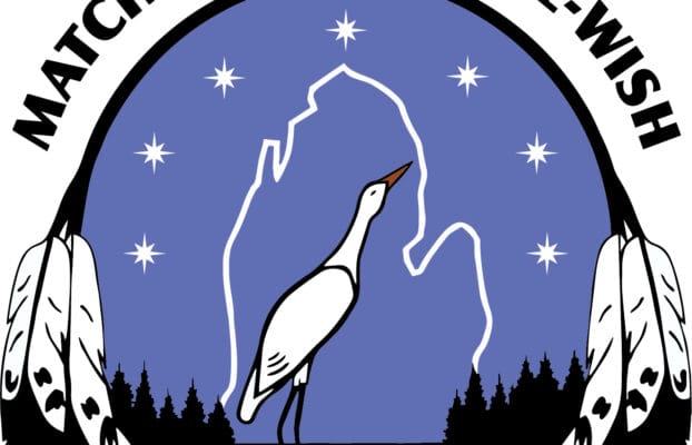 Independent Institutional Investment Advisor